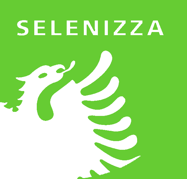 Selenice Bitumi Sha